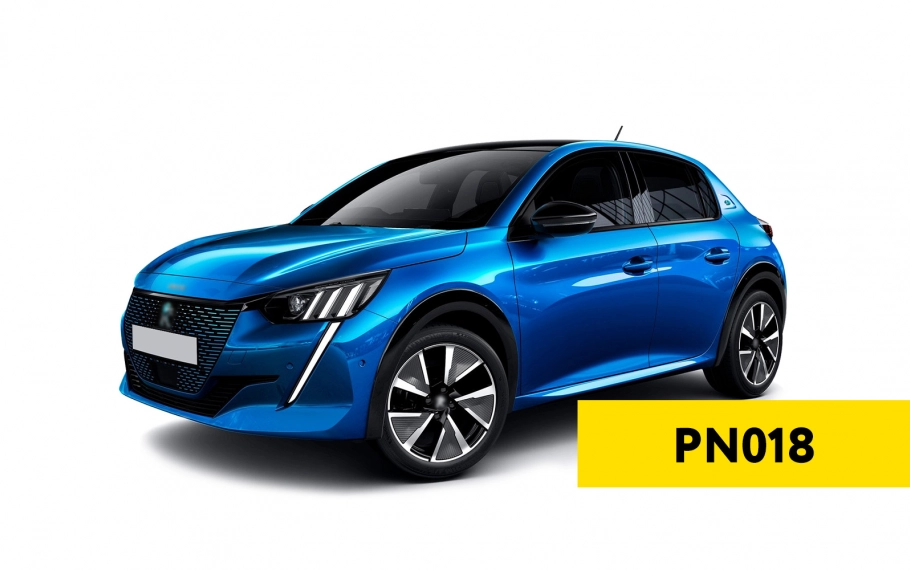 COMMENT LIRE LE CODE PIN DE PEUGEOT E-208 2023 ? RAPIDE ET FACILE AVEC AVDI !