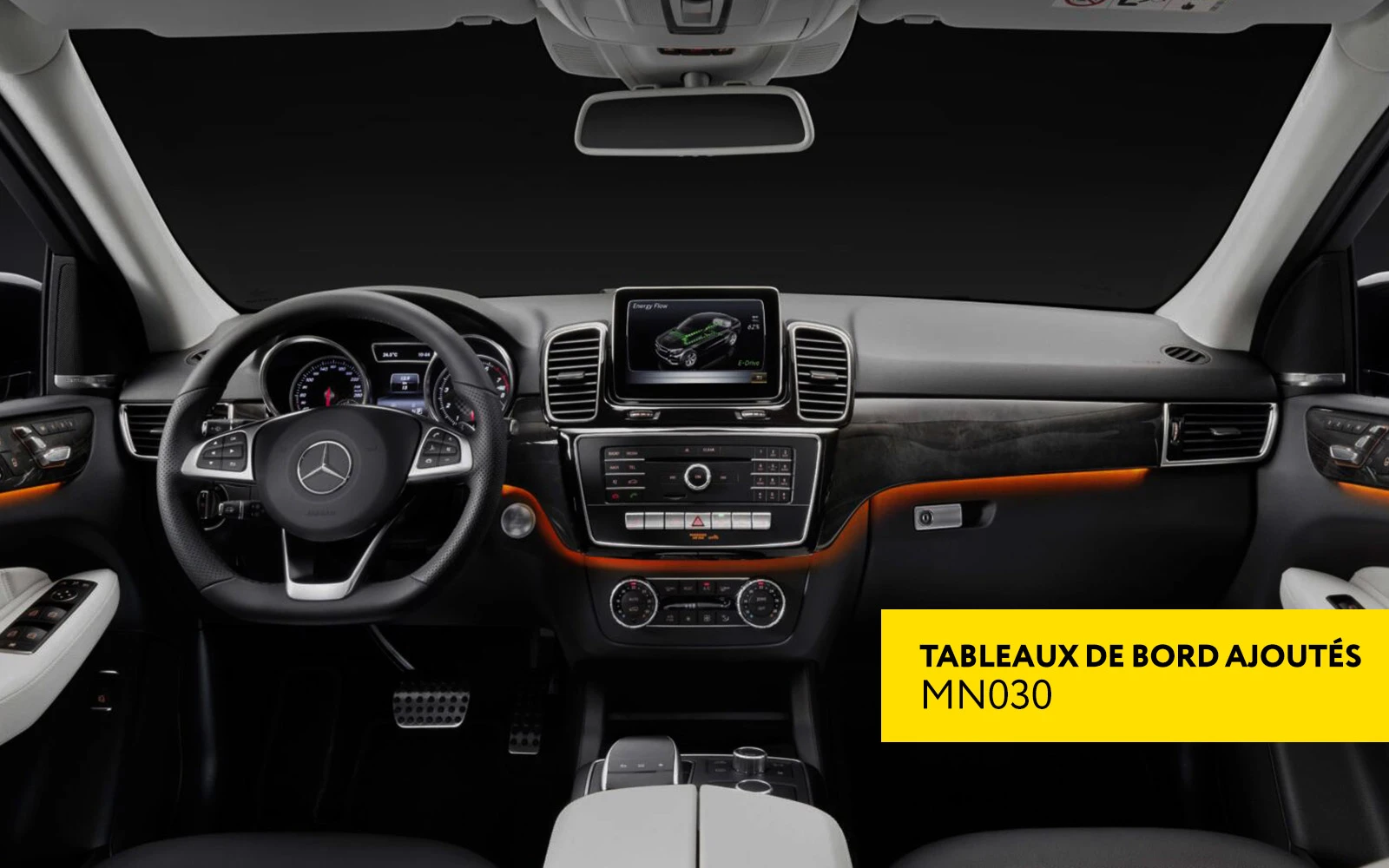 Les tableaux de bord IC172 et IC204 FBS4 pour Mercedes-Benz désormais pris en charge avec la licence MN030 !