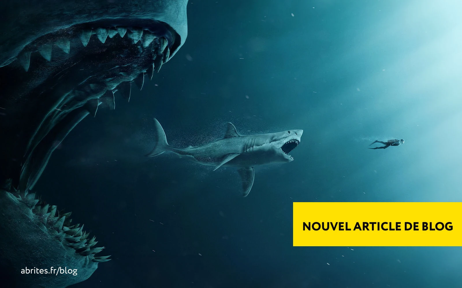 LA PROCHAINE GRANDE EVOLUTION NBT EVO IL Y A TOUJOURS UN PLUS GROS POISSON