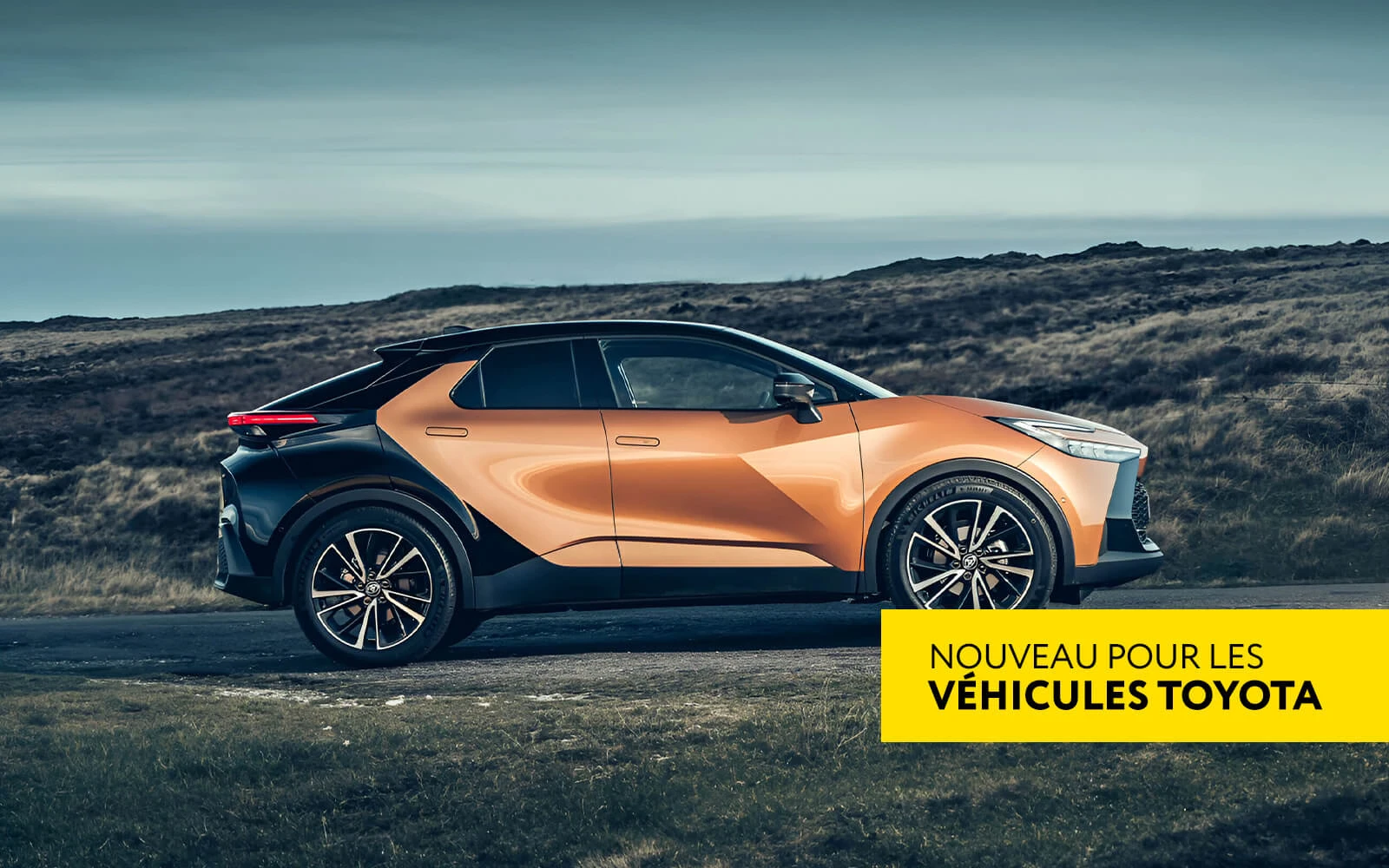 Options de codage et de personnalisation pour les modeles Toyota et Lexus 2024 2025 incluses dans votre AVDI